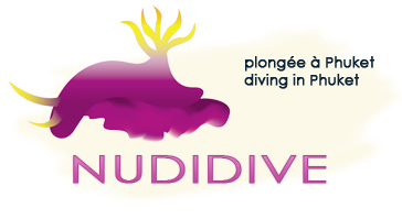 Nudidive Logo